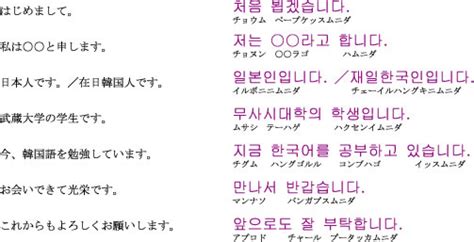 →不倫 、韓国語への翻訳 、例文 、日本語